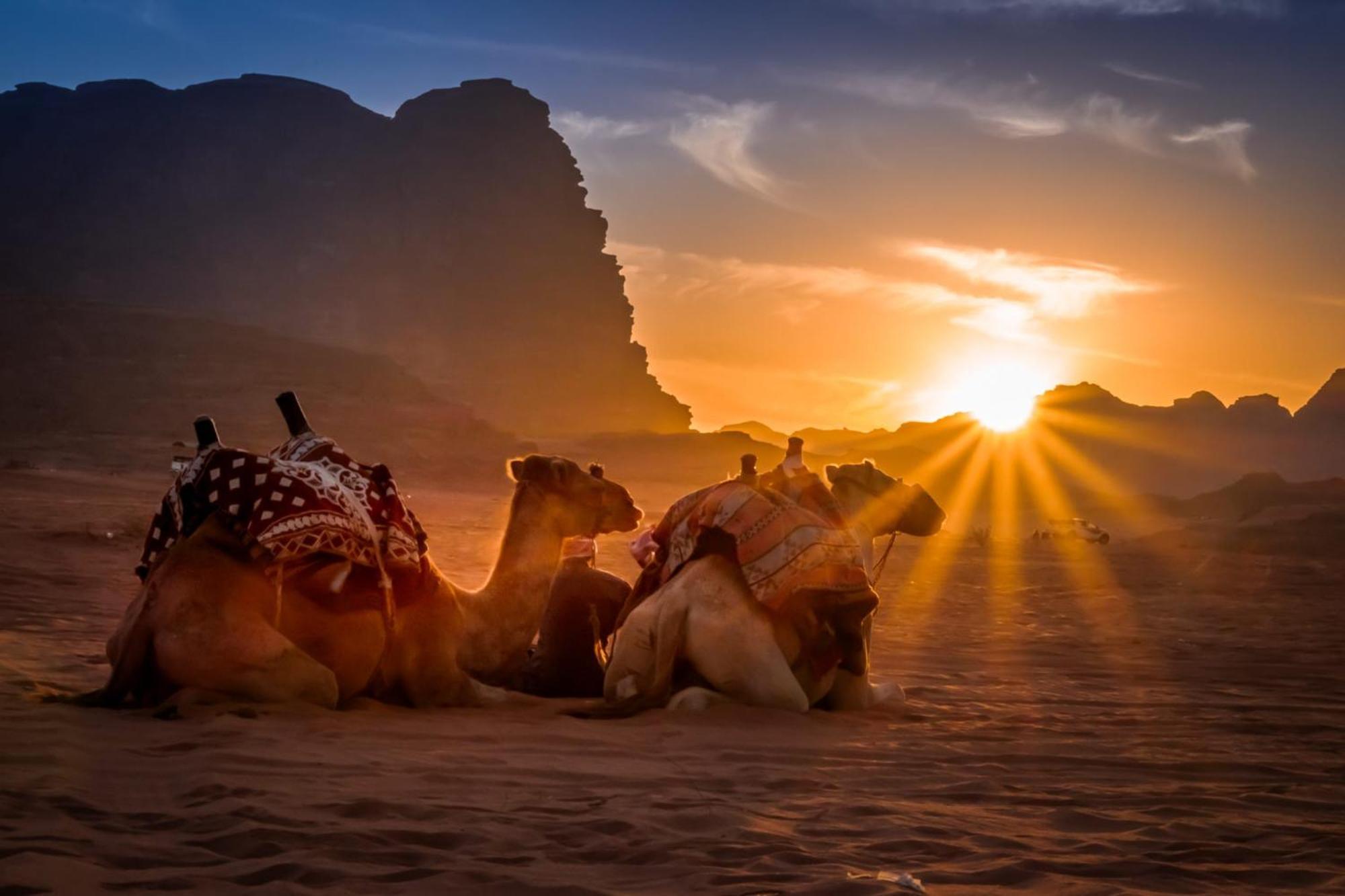 Wadi Rum Caeser Camp Hotel Exterior photo